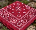 Cloth