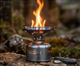Combustion